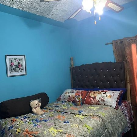 Forrest Family Property 金斯敦 外观 照片